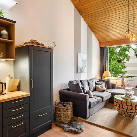 Appartement Berglounge St Andreasberg Harz Sankt Andreasberg