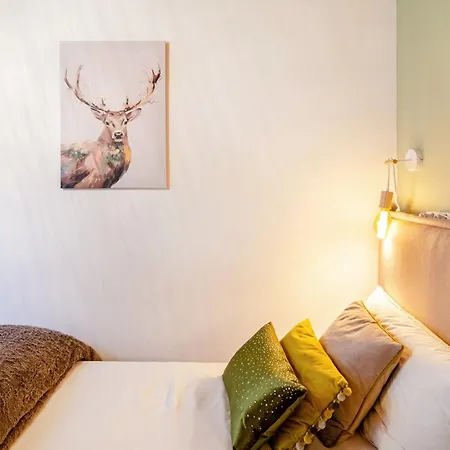 Berglounge St Andreasberg Harz Appartement *