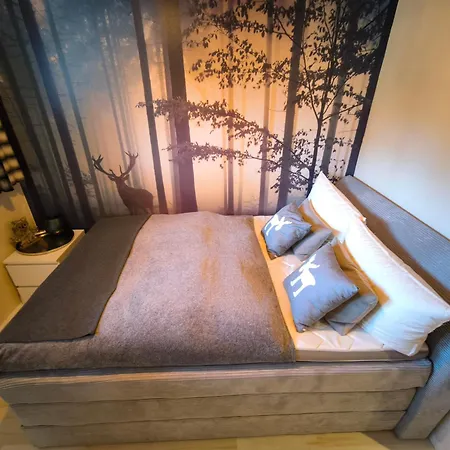 Berglounge St Andreasberg Harz *