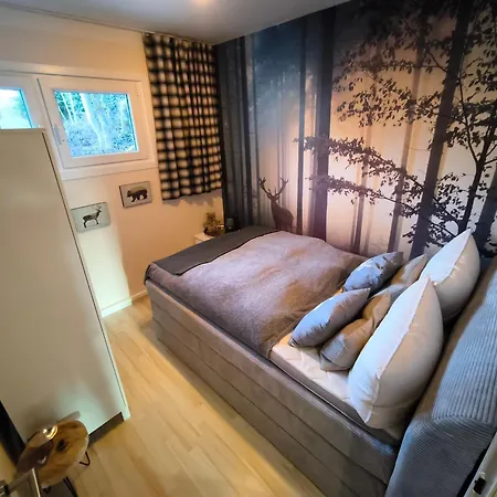 Berglounge St Andreasberg Harz Appartement *