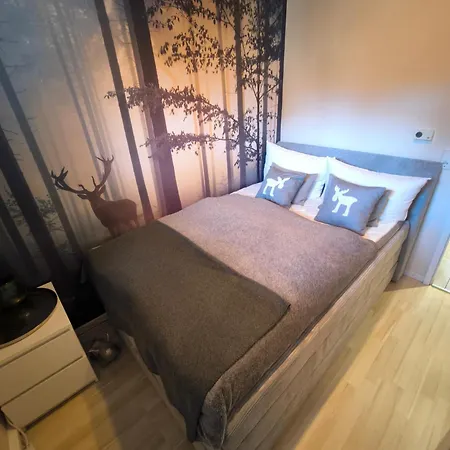 Berglounge St Andreasberg Harz Sankt Andreasberg