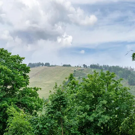 Berglounge St Andreasberg Harz Appartement